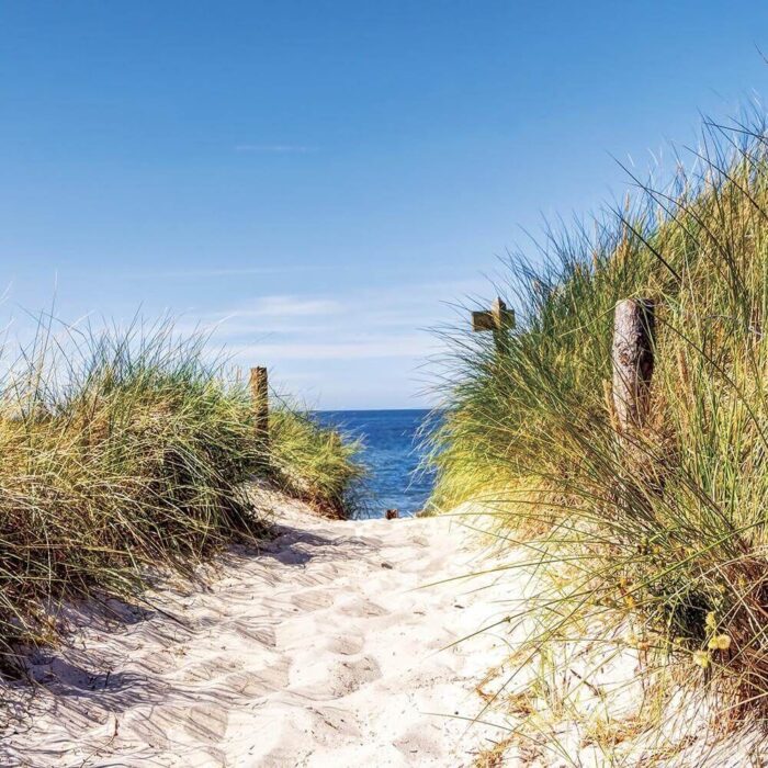 Sandiger Weg durch Dünengras führt zum Meer