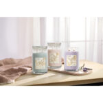 Serenity Stone Signature Large Jar 567g – Hauptansicht