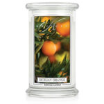 Sicilian Orange 623g – Hauptansicht