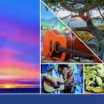 Collage mit Sonnenuntergang, Gitarren, Wald und grünen Kardamomkapseln