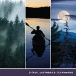 Dreiteilige Naturcollage zu Midsummer’s Night mit lesbarer Duftangabe
