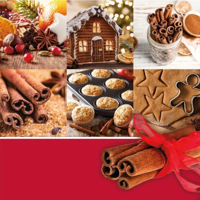 Sparkling Cinnamon Signature Jar 567g 2-Docht – Produktansicht