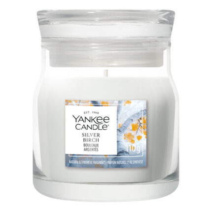 Yankee Candle Silver Birch Duftkerze vollständig vor weißem Hintergrund