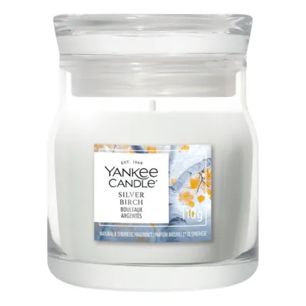 Yankee Candle Silver Birch Duftkerze vollständig vor weißem Hintergrund