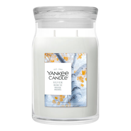 Silver Birch Duftkerze von Yankee Candle im Glas mit zwei sichtbaren Dochten