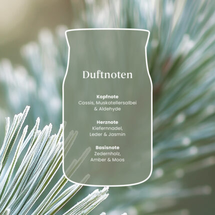 Grafik mit Duftnoten von Silver Sage & Pine vor Kiefernnadel-Hintergrund