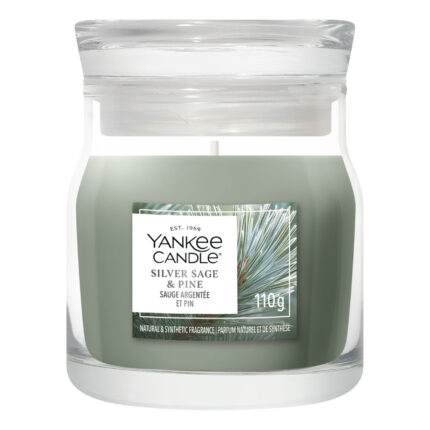 Yankee Candle Silver Sage & Pine Duftkerze im Glas auf weißem Hintergrund