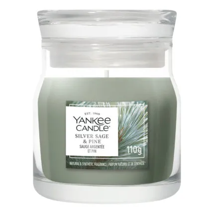 Yankee Candle Silver Sage & Pine Duftkerze im Glas auf weißem Hintergrund