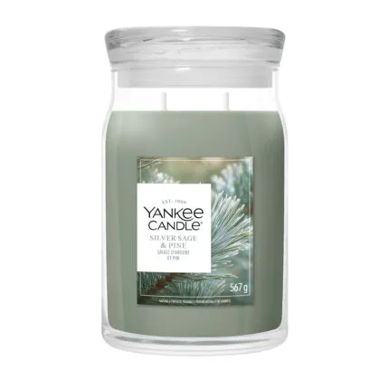 Silver Sage & Pine Signature Jar 567g 2-Docht – Produktansicht