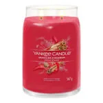 Sparkling Cinnamon Signature Jar 567g 2-Docht – Produktansicht