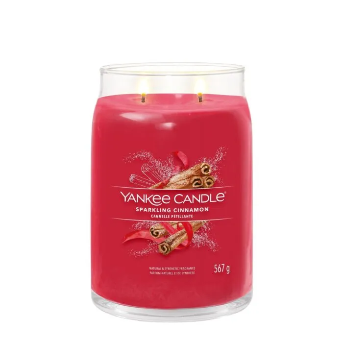 Sparkling Cinnamon Signature Jar 567g 2-Docht – Produktansicht
