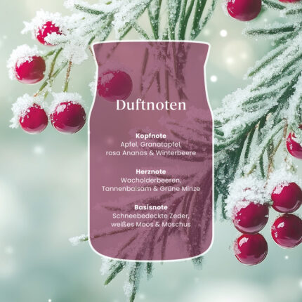 Grafik mit Duftnoten von Sparkling Winterberry und winterlichen Beerenzweigen