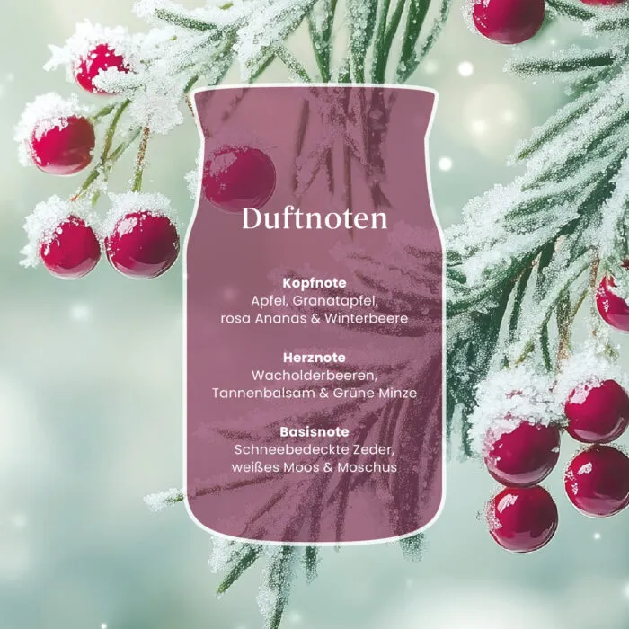 Sparkling Winterberry Signature Medium Jar 368g 2-Docht – Produktansicht