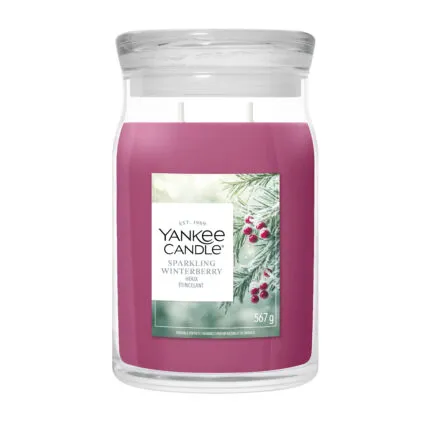 Sparkling Winterberry Signature Large Jar 567g 2-Docht – Produktansicht
