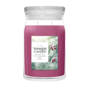 Sparkling Winterberry Signature Large Jar 567g 2-Docht – Produktansicht