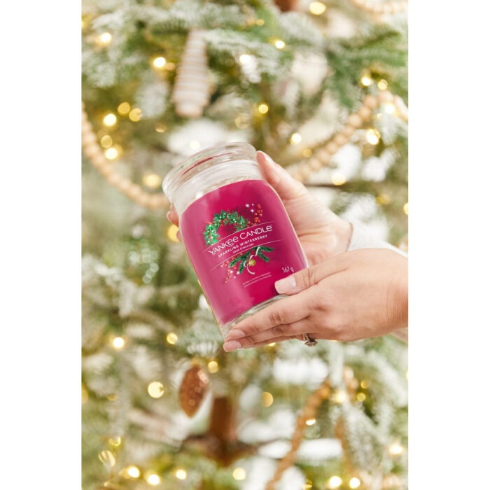 Sparkling Winterberry Signature Large Jar 567g 2-Docht – Produktansicht