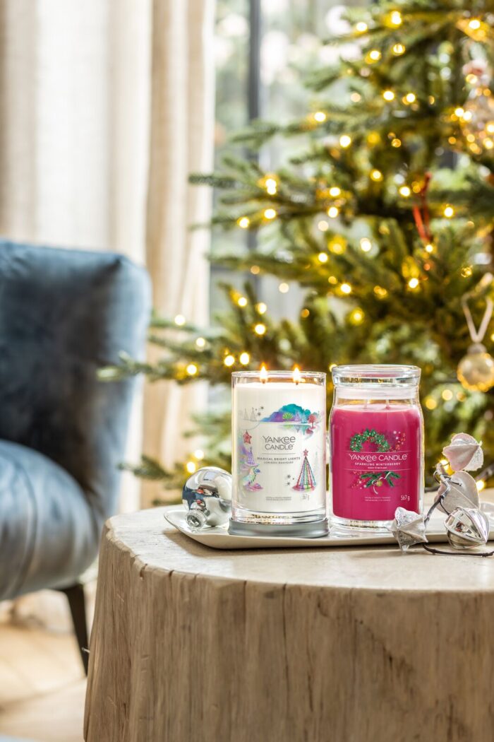 Sparkling Winterberry Signature Large Jar 567g 2-Docht – Produktansicht