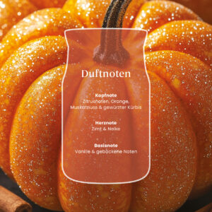 Grafik mit Duftnoten von Spiced Pumpkin vor glitzernden Kürbissen