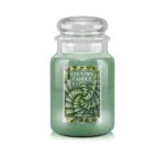 Spiral Aloe 680g – Produktansicht