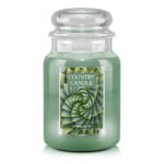 Spiral Aloe 680g – Hauptansicht