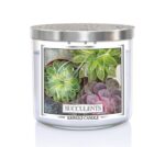 Succulents 396g Tumbler 3-Docht – Produktansicht
