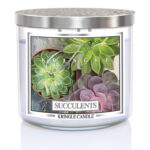 Succulents 396g Tumbler 3-Docht – Hauptansicht