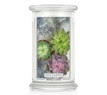 Succulents 623g – Produktansicht