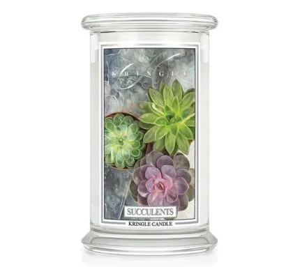 Succulents 623g – Produktansicht