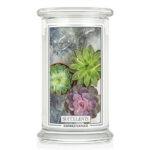 Succulents 623g – Hauptansicht