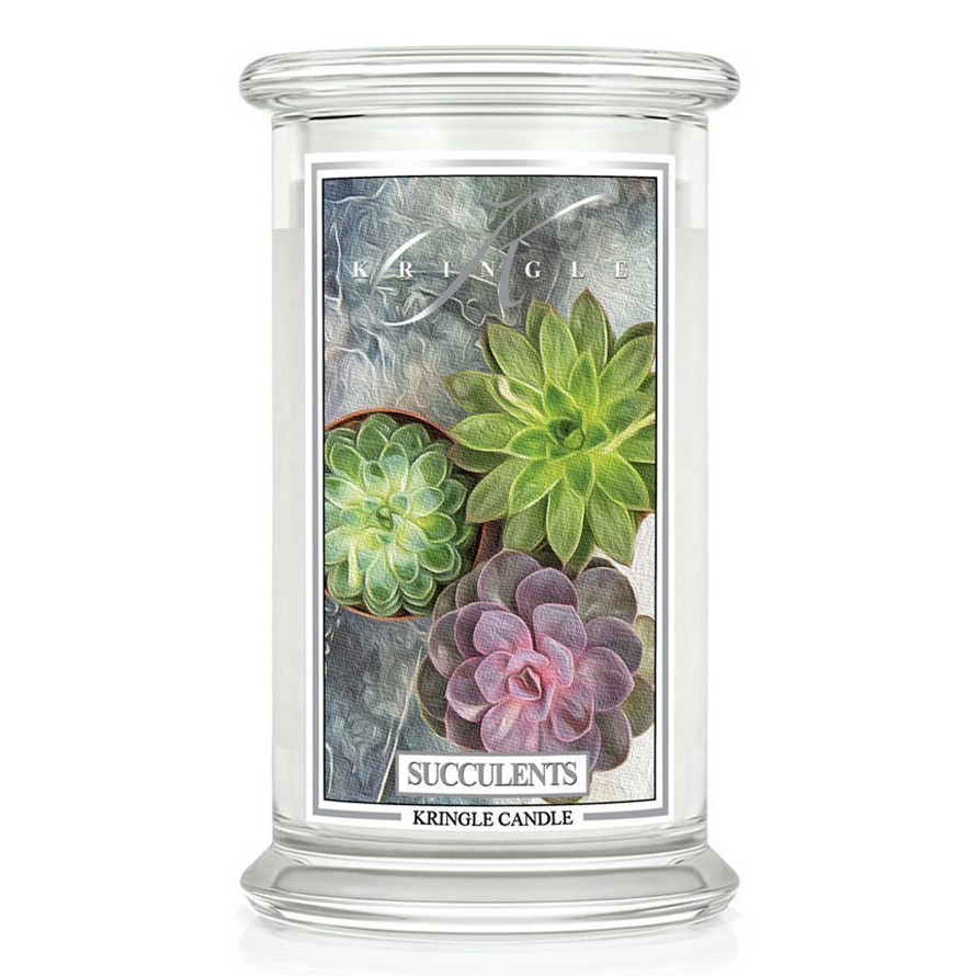 Produktbild Succulents 623g – Hauptansicht