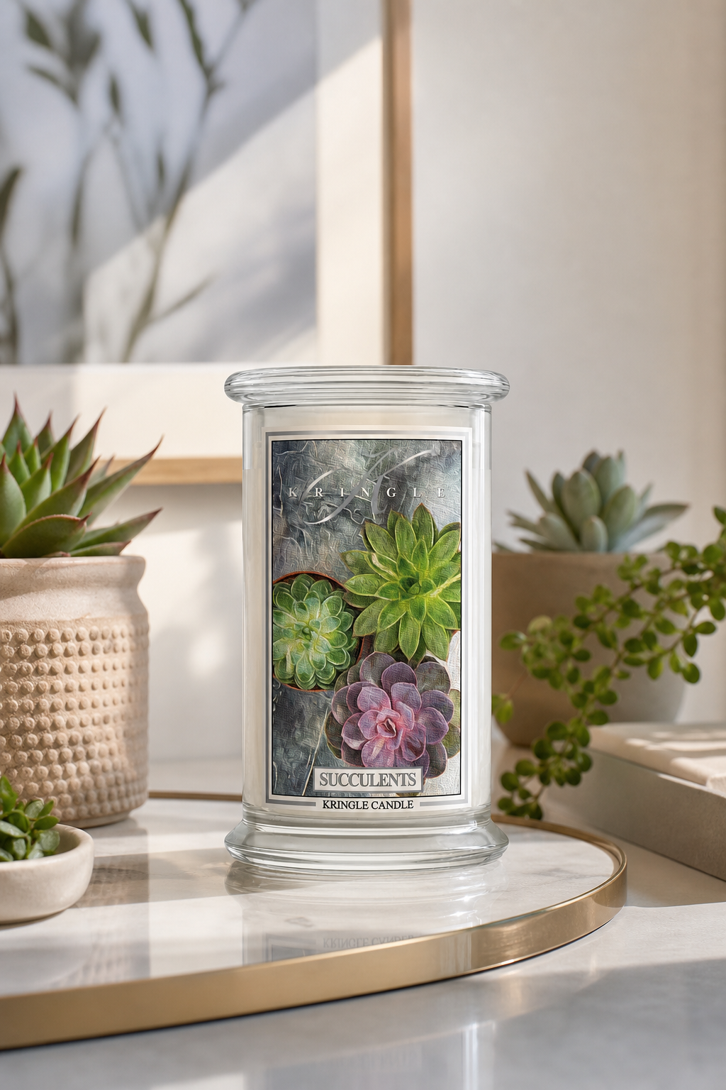 Succulents 623g in einer stimmungsvollen Anwendungsszene
