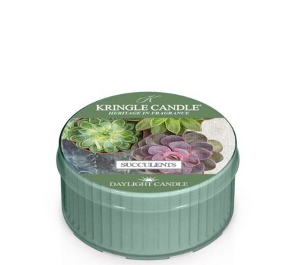 Succulents Daylight 42g – Produktansicht