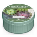 Succulents Daylight 42g – Hauptansicht