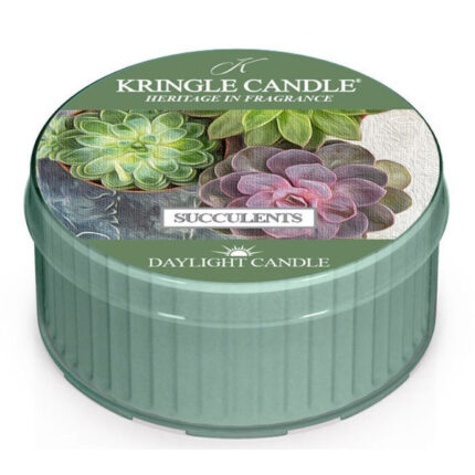 Succulents Daylight 42g – Hauptansicht