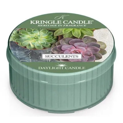 Succulents Daylight 42g – Hauptansicht