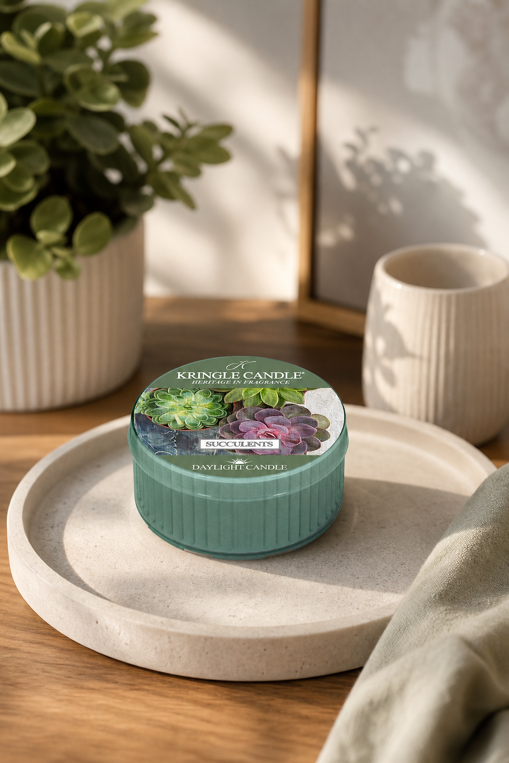 Succulents Daylight 42g in einer stimmungsvollen Anwendungsszene