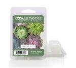 Succulents Wax Melts 64g – Produktansicht
