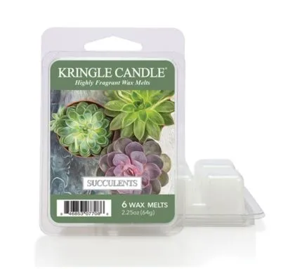 Succulents Wax Melts 64g – Produktansicht