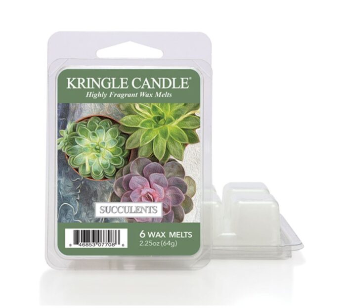 Succulents Wax Melts 64g – Produktansicht