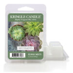 Succulents Wax Melts 64g – Hauptansicht