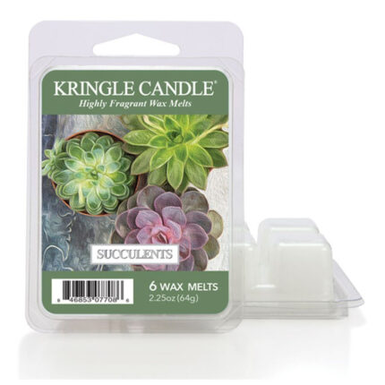 Succulents Wax Melts 64g – Hauptansicht