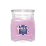 Summit Stargazing Medium Jar 368g 2-Docht – Hauptansicht