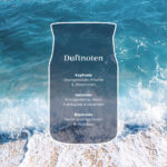Grafik mit Duftnoten von Sun & Sand vor einer Wasser- und Strandaufnahme