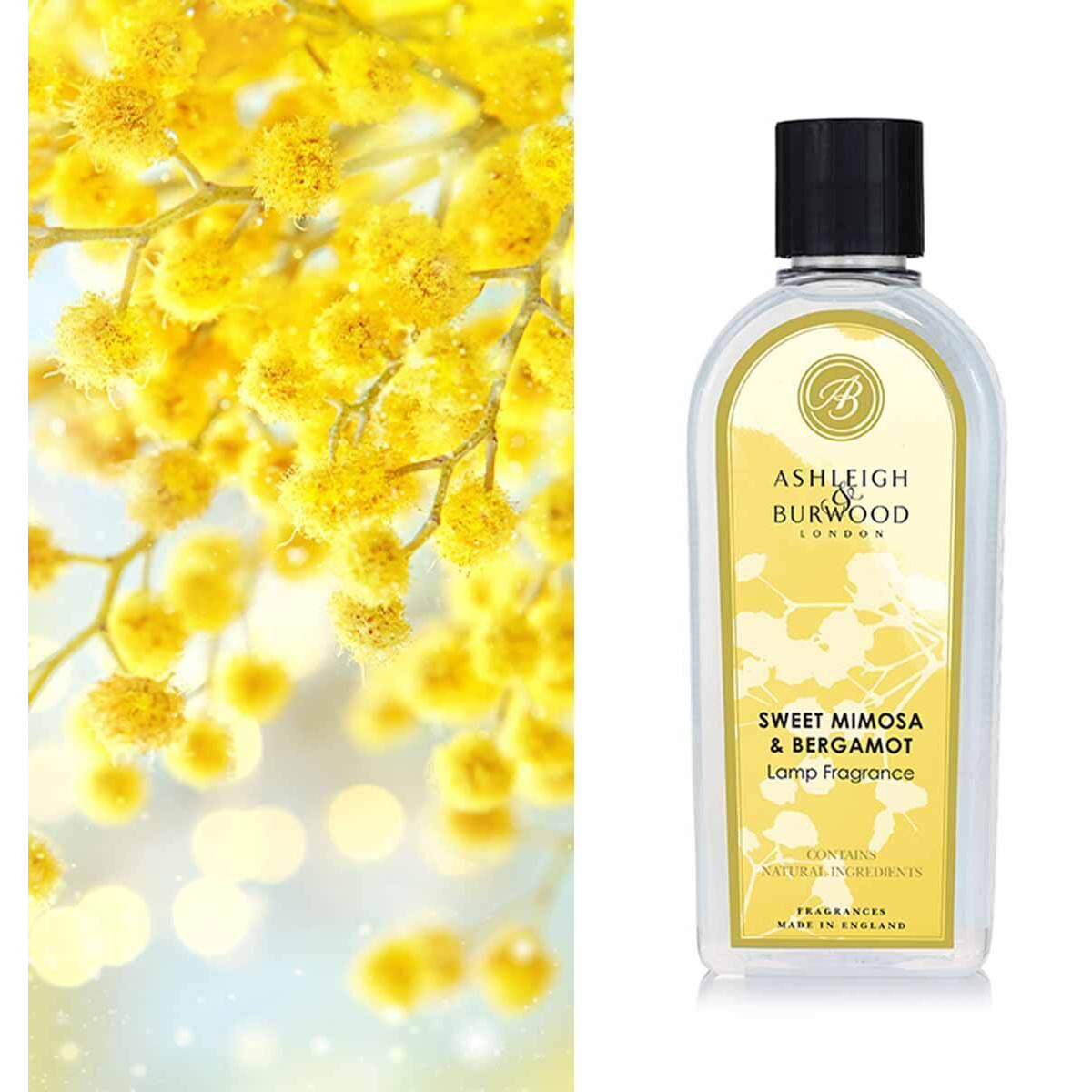 Sweet Mimosa & Bergamot Duftlampenöl Flasche Sweet Mimosa & Bergamot Lamp Fragrance vor gelben Blüten