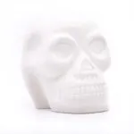 Skull-frei.jpg