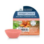 Verpacktes Yankee Candle Wachsmelt The Last Paradise mit rosa Schälchen
