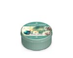 Tinsel Thyme Daylight 42g – Produktansicht