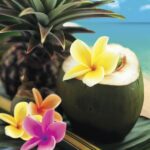 Tropische Produktabbildung mit Kokosnuss, Ananasblättern und Blüten