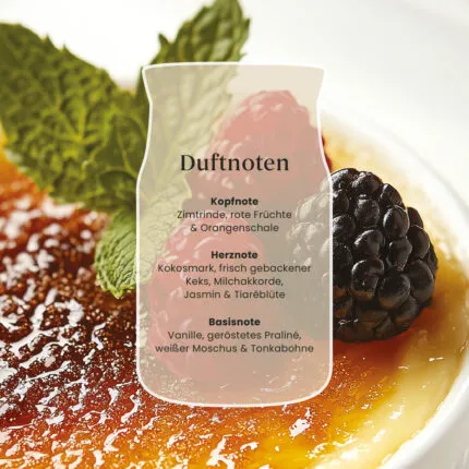 Vanilla Creme Brulee Signature Medium Jar 368g 2-Docht – Produktansicht