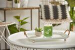 Vanilla Lime Signature Large Jar 567g 2-Docht – Produktansicht